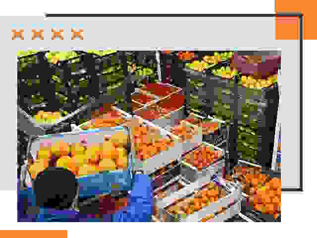 Перевозка скоропортящихся продуктов в Торжке